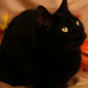 Meet your Posher, Adriane